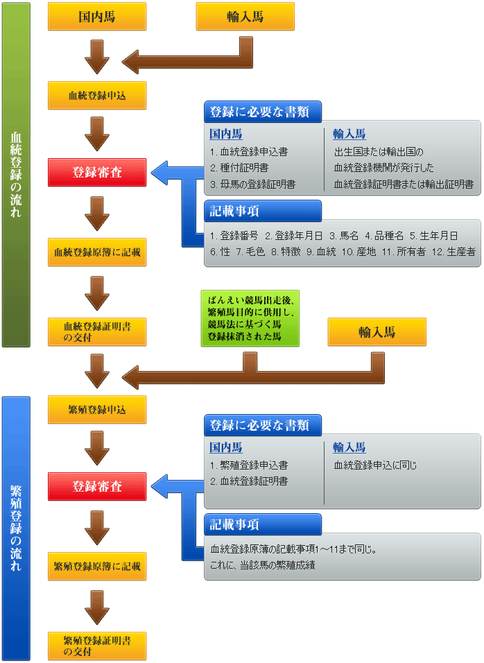 血統登録から繁殖登録までの流れ